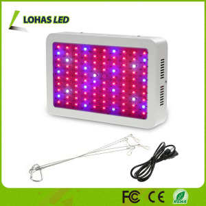 Hydroponic Full Spectrum LED Plant Grow Light 300W 450W 600W 800W 900W 1000W 1200W LED Grow Lamp