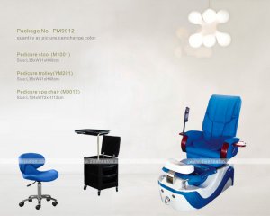 Pedicure Foot SPA Chair (M9012)